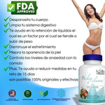 RETO DE 15 DIAS I Desintoxica tu cuerpo y baja de peso